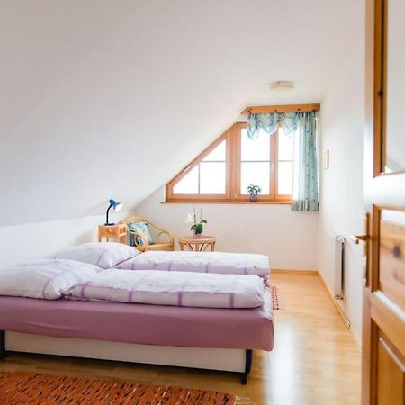 Ferienwohnung Stiegelbauer Fichte Sausal Dış mekan fotoğraf